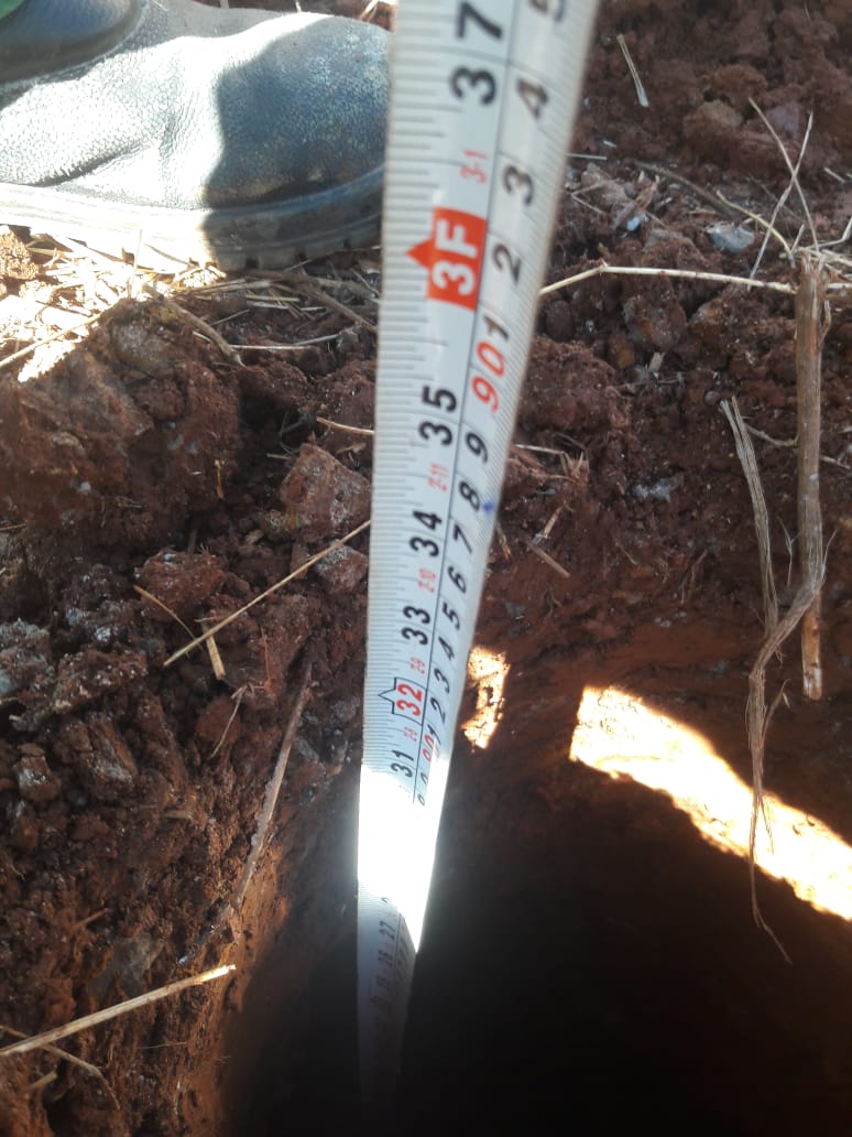 Foto 11 - 22/07/2019